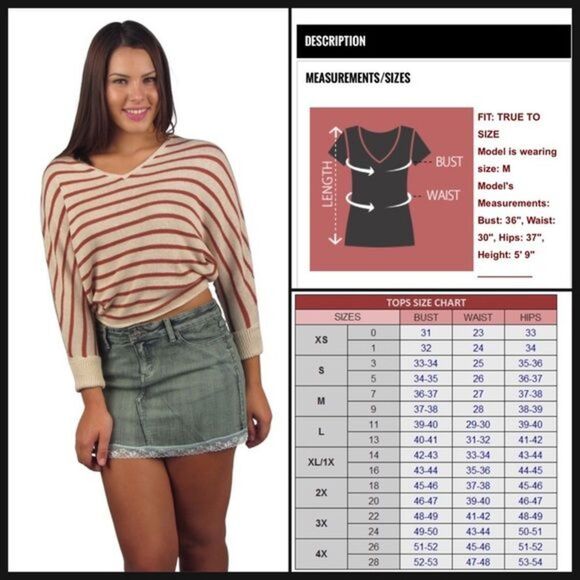 Long Sleeved V-Neck Crop Top - Picture 4 of 4